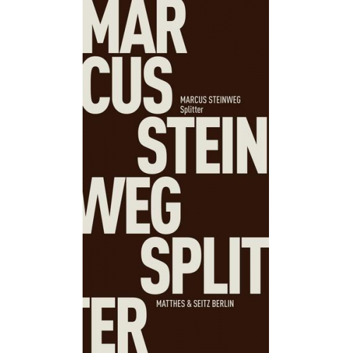 Marcus Steinweg - Splitter