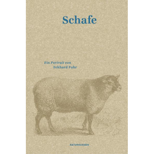 Eckhard Fuhr - Schafe