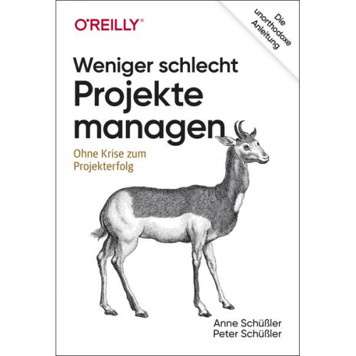 Anne Schüssler & Peter Schüssler - Weniger schlecht Projekte managen