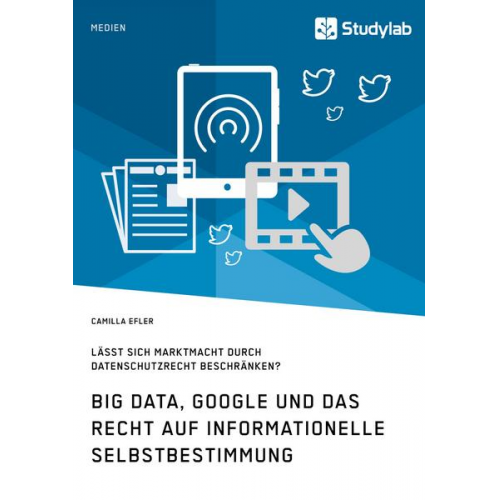 Camilla Efler - Big Data, Google und das Recht auf informationelle Selbstbestimmung