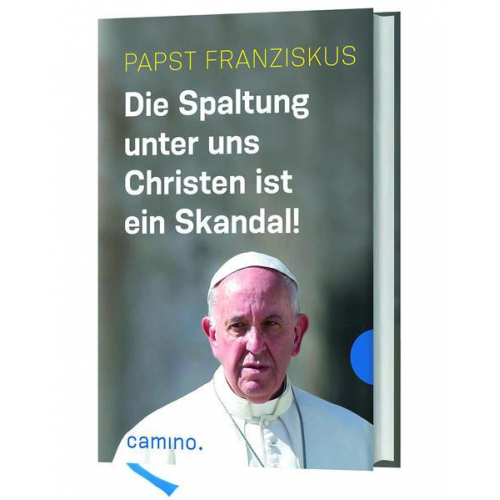 Papst Franziskus - Die Spaltung unter uns Christen ist ein Skandal!