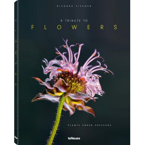 Richard Fischer & Pas Morché - A Tribute to FLOWERS, Hardcover version