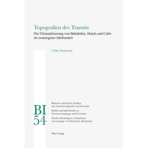 Ulrike Zitzlsperger - Topografien des Transits