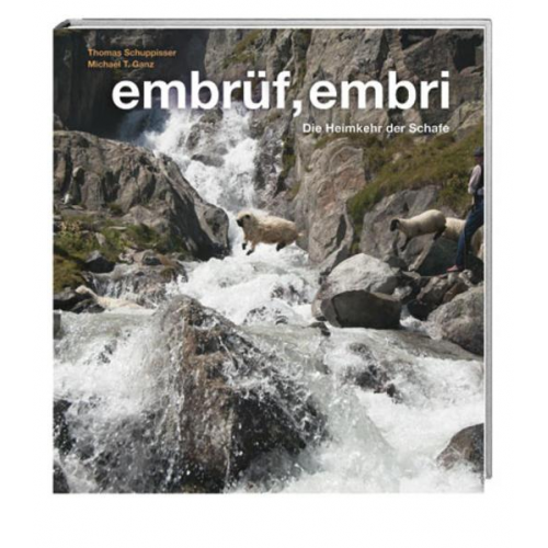 Michael T. Ganz - Embrüf, embri