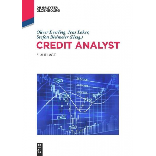 Credit Analyst