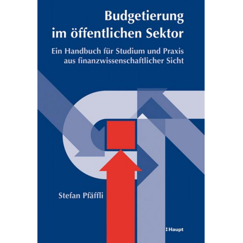 Stefan Pfäffli - Budgetierung im öffentlichen Sektor