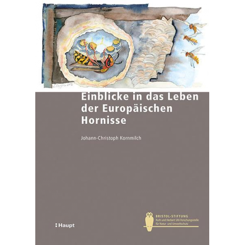 Johann-Christoph Kornmilch - Einblicke in das Leben der Europäischen Hornisse