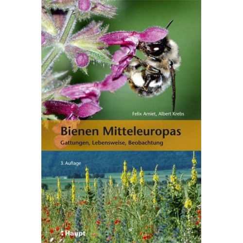 Felix Amiet & Albert Krebs & Andreas Müller - Bienen Mitteleuropas