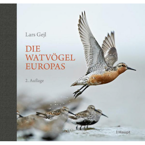 Lars Gejl - Die Watvögel Europas