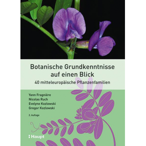 Yann Fragnière & Nicolas Ruch & Evelyne Kozlowski & Gregor Kozlowski - Botanische Grundkenntnisse auf einen Blick