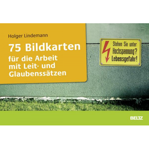 Holger Lindemann - 75 Bildkarten für die Arbeit mit Leit- und Glaubenssätzen