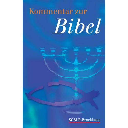 Kommentar zur Bibel