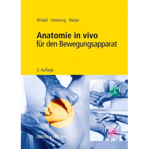 Dos Winkel & Andry Vleeming & Onno Meijer - Anatomie in vivo für den Bewegungsapparat