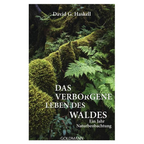 David G. Haskell - Das verborgene Leben des Waldes