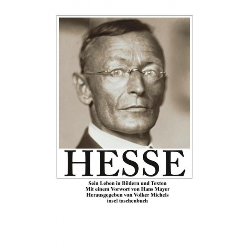 Hermann Hesse - Hermann Hesse