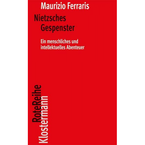 Maurizio Ferraris - Nietzsches Gespenster