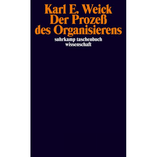 Karl E. Weick - Der Prozeß des Organisierens