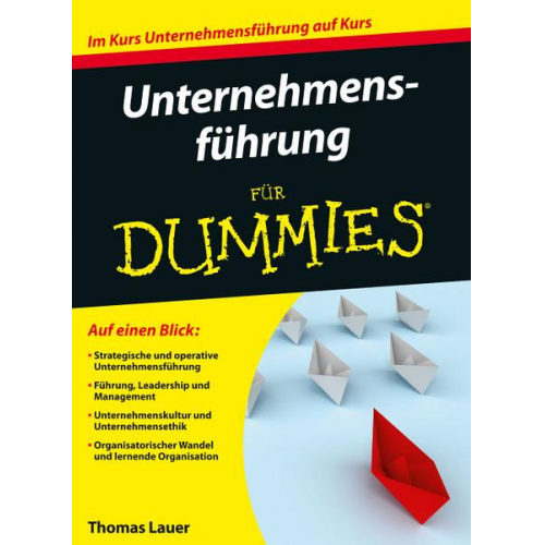 Thomas Lauer - Unternehmensführung für Dummies