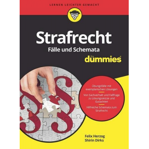 Felix Herzog & Shirin Dirks - Strafrecht Fälle und Schemata für Dummies