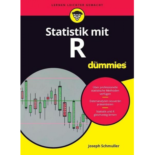 Joseph Schmuller - Statistik mit R für Dummies