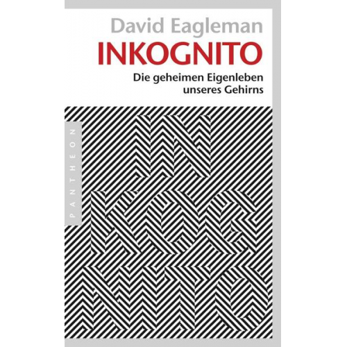 David Eagleman - Inkognito