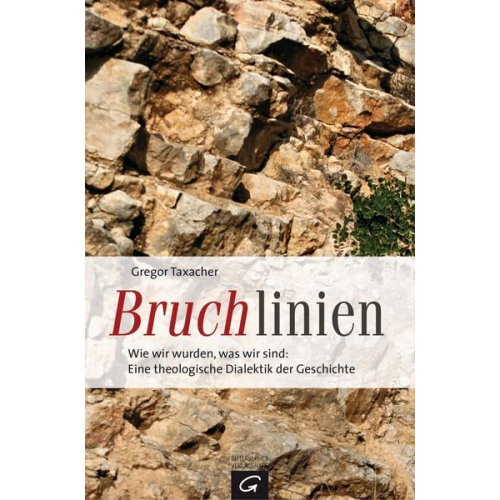 Gregor Taxacher - Bruchlinien