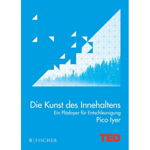 Pico Iyer - Die Kunst des Innehaltens