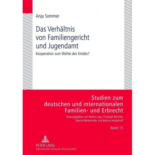 Anja Sommer - Das Verhältnis von Familiengericht und Jugendamt