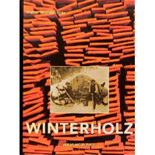 Walter Mooslechner - Winterholz