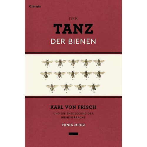 Tania Munz - Der Tanz der Bienen