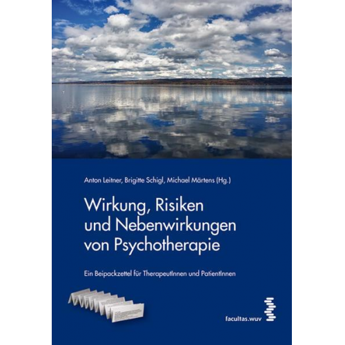 Wirkung, Risiken und Nebenwirkungen von Psychotherapie