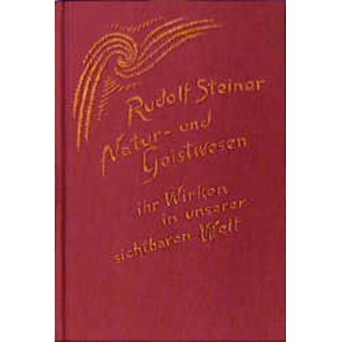 Rudolf Steiner - Natur- und Geistwesen - ihr Wirken in unserer sichtbaren Welt