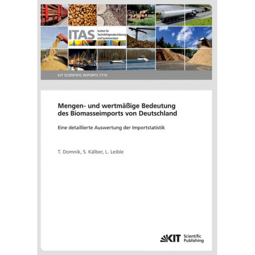 Tobias Domnik & S. Kälber & L. Leible - Mengen- und wertmäßige Bedeutung des Biomasseimports von Deutschland - Eine detaillierte Auswertung der Importstatistik