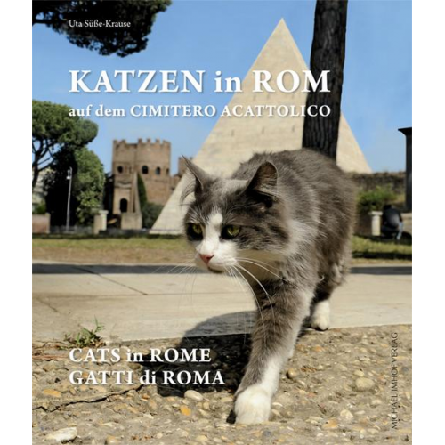 Katzen in Rom / Cats in Rome / Gatti di Roma