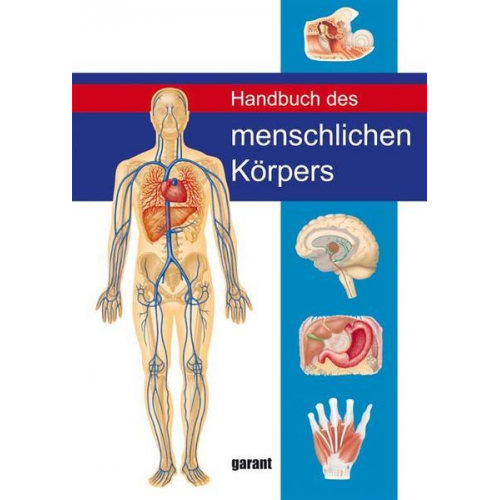 Peter Abrahams - Handbuch des Menschlichen Körpers