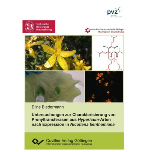 Eline Biedermann - Untersuchungen zur Charakterisierung von Prenyltransferasen aus Hypericum-Arten nach Expression in Nicotiana benthamiana