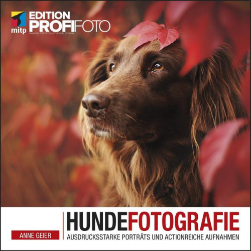 Anne Geier - Hundefotografie