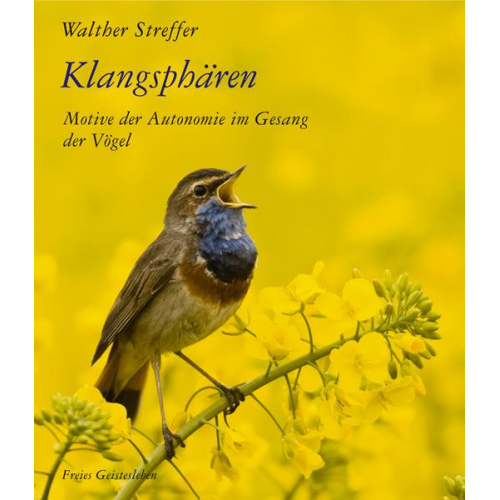 Walther Streffer - Klangsphären