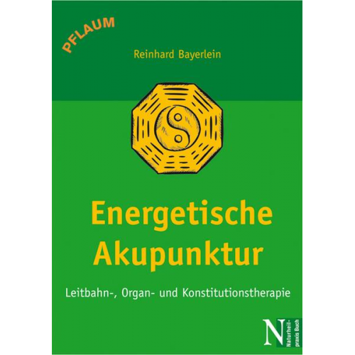 Reinhard Bayerlein - Energetische Akupunktur