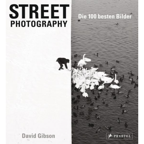 David Gibson - Street Photography: Die 100 besten Bilder