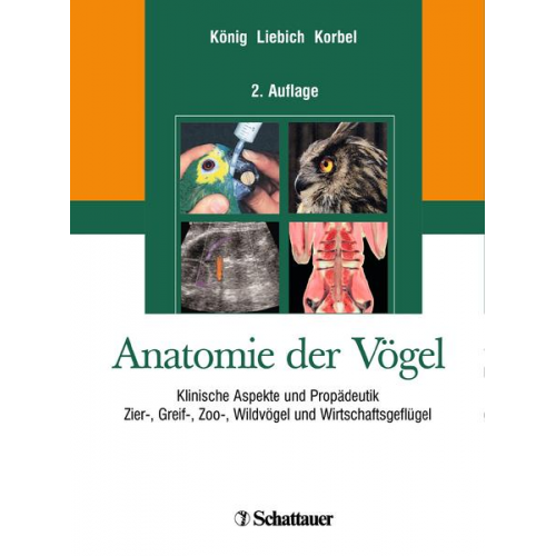 Horst E. König & Rüdiger Korbel & Hans-Georg Liebich - Anatomie der Vögel