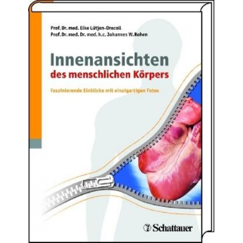 Johannes W. Rohen & Elke Lütjen-Drecoll - Innenansichten des menschlichen Körpers