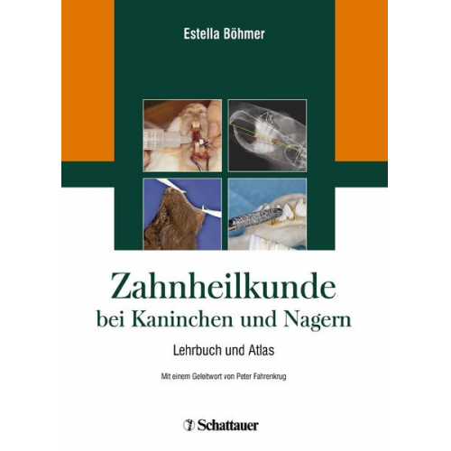 Estella Böhmer - Zahnheilkunde bei Kaninchen und Nagern