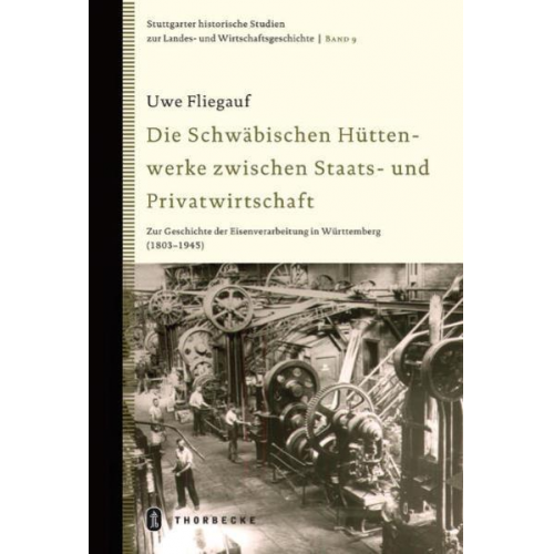 Uwe Fliegauf - Die Schwäbischen Hüttenwerke zwischen Staats- und Privatwirtschaft