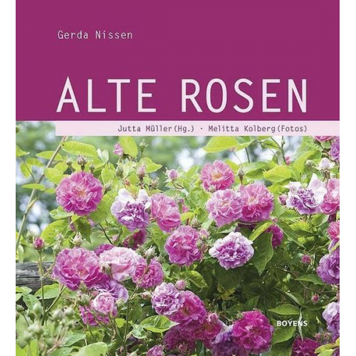 Gerda Nissen - Alte Rosen