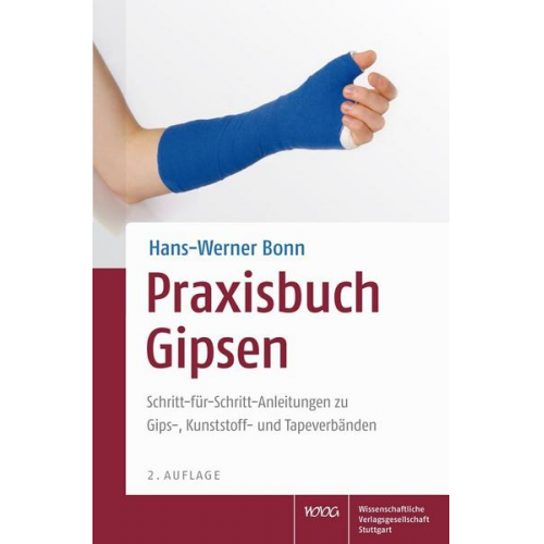 Hans-Werner Bonn - Praxisbuch Gipsen