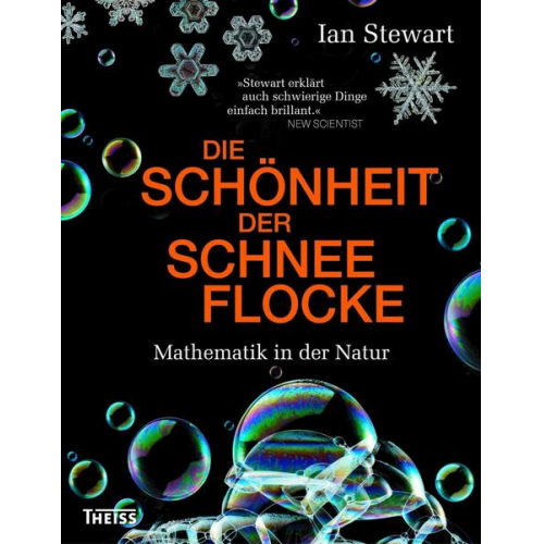 Ian Stewart - Die Schönheit der Schneeflocke