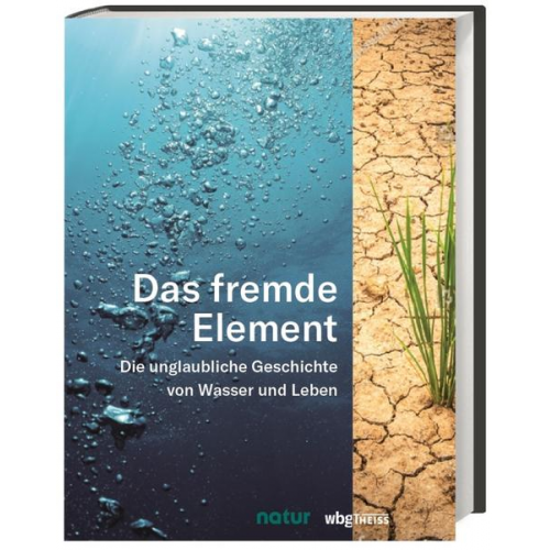 Das fremde Element