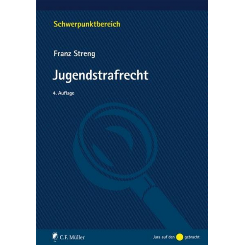 Franz Streng - Jugendstrafrecht