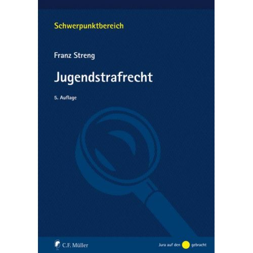 Franz Streng - Jugendstrafrecht